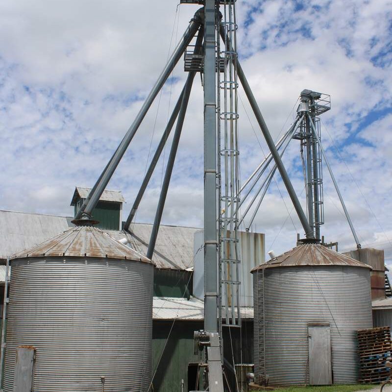 Two corrugated steel grain bins flank a tall elevator leg and auger tower at Maysville Elevator.